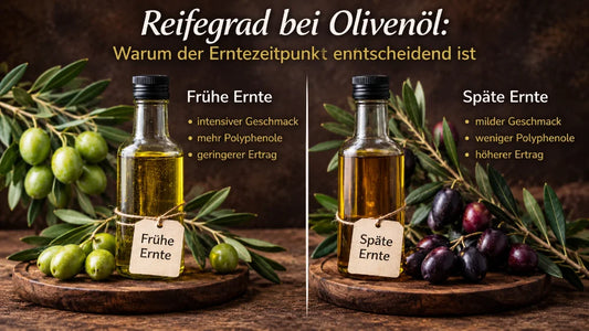 reifegrad bei olivenöl: warum der erntezeitpunkt entscheidend ist reifegrad bei olivenöl: warum der erntezeitpunkt zählt