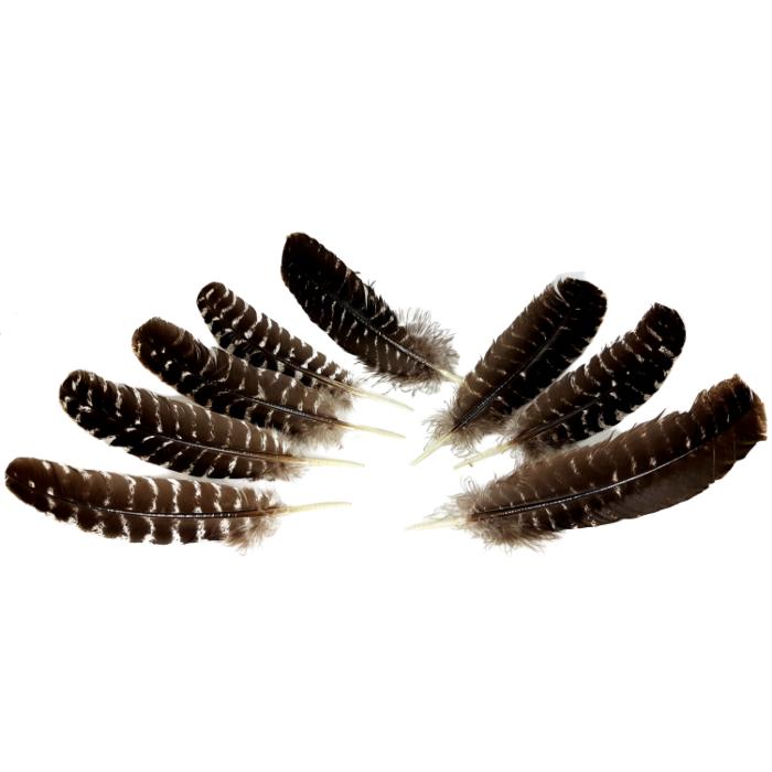 Räucherfeder